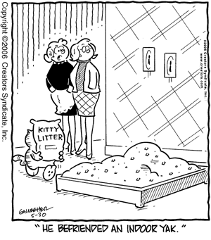 heathcliff